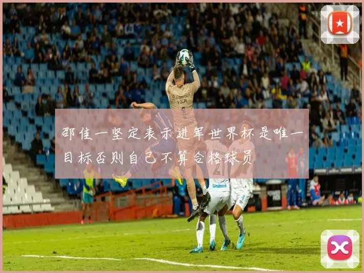 邵佳一坚定表示进军世界杯是唯一目标否则自己不算合格球员